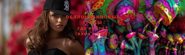гидропоника Вязьма