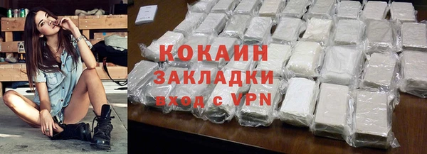прущая мука Вяземский