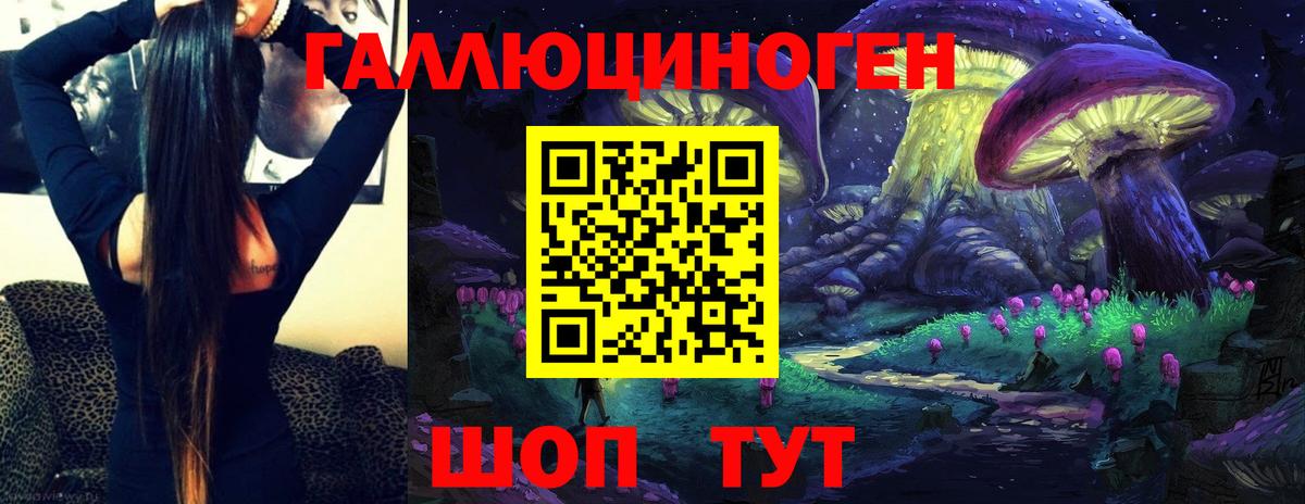 Галлюциногенные грибы Psilocybine cubensis Юрга